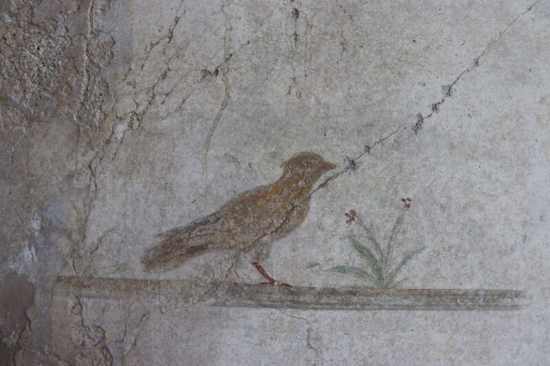 Lintukuva pompejilaisen asuintalon frescossa