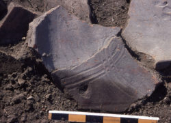 Broken piece of tile