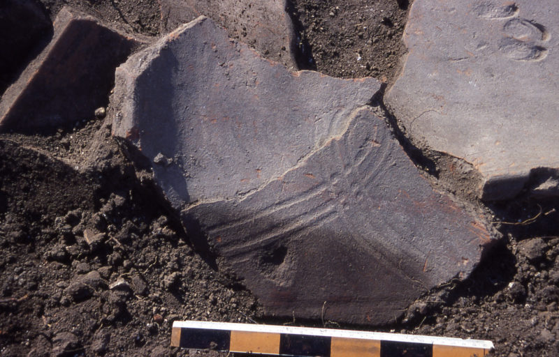 Broken piece of tile