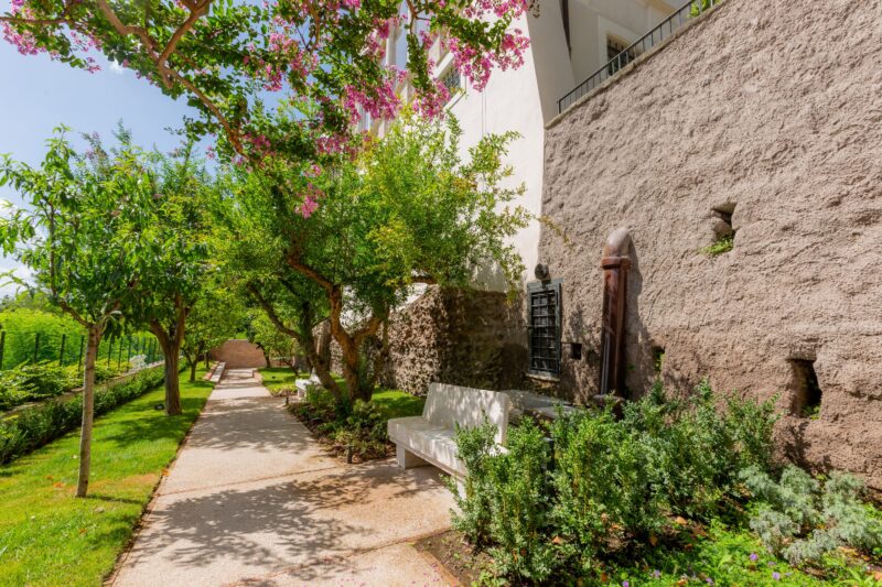 Valokuvassa vehreä näkymä instituutin alapuutarhasta. Käytävän vieressä marmoripenkki, sekä erilaisia puita.